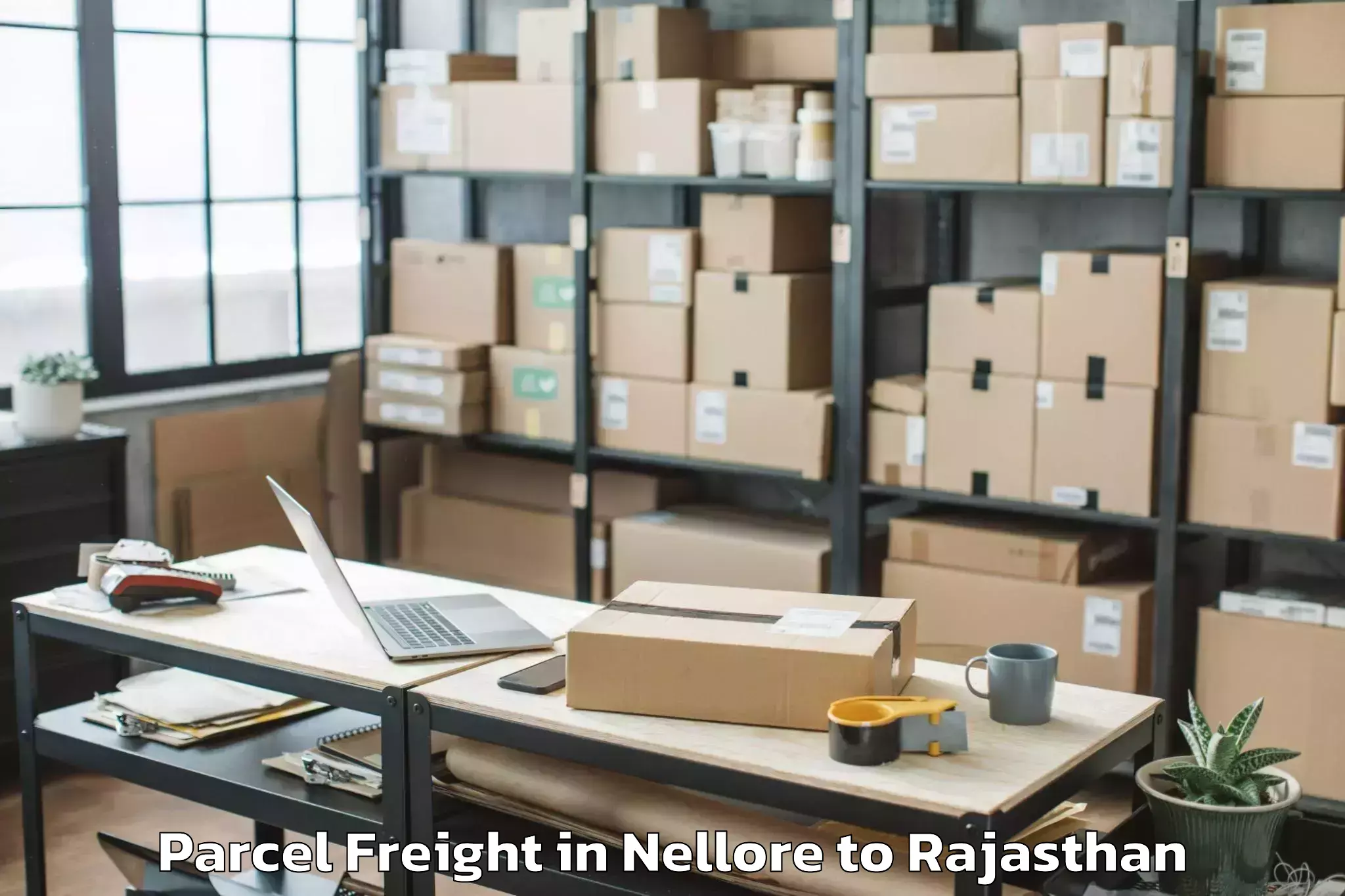 Top Nellore to Mewar University Chittorgarh Parcel Freight Available